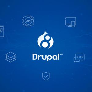 Отключаем кеширование в Drupal 8