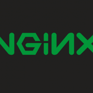 ISPmanager и ошибка NGINX
